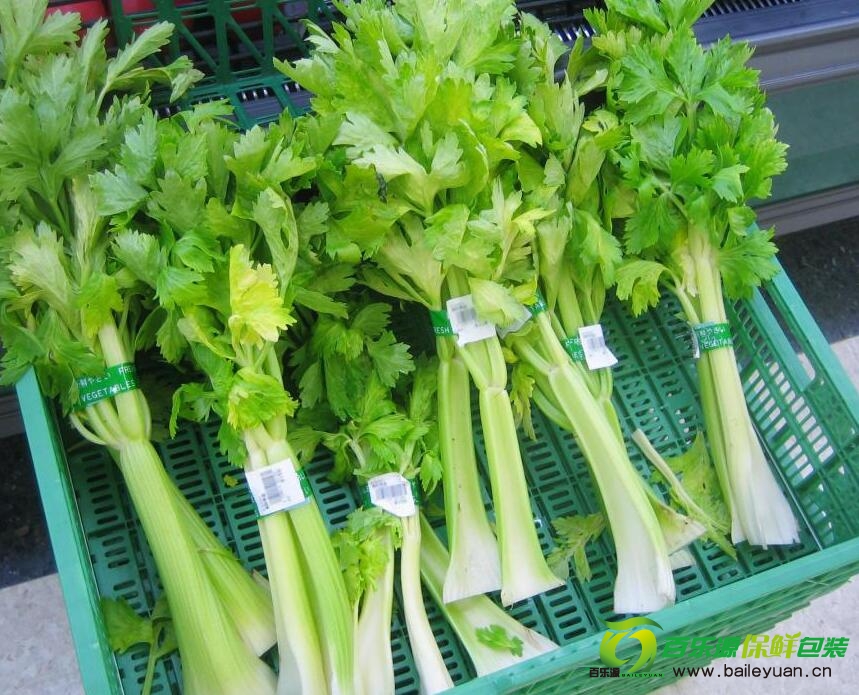吃芹菜殺精嗎?