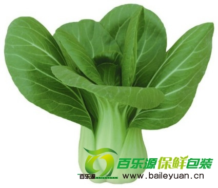 新鮮油菜買回家怎么保鮮?